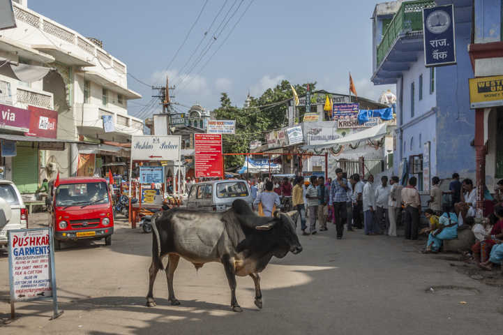 32 - India - Pushkar